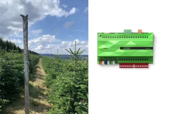 Bild: Intelligente automatische Bewässerungssysteme: So schützt Loxone Weihnachtsbäume