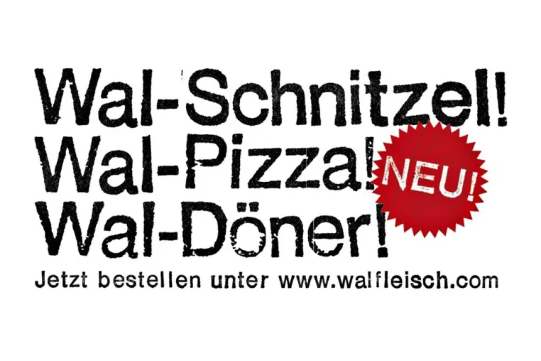 Bild: In 100 Tagen fällt die Entscheidung über kommerzielle Ausbeutung von Walen