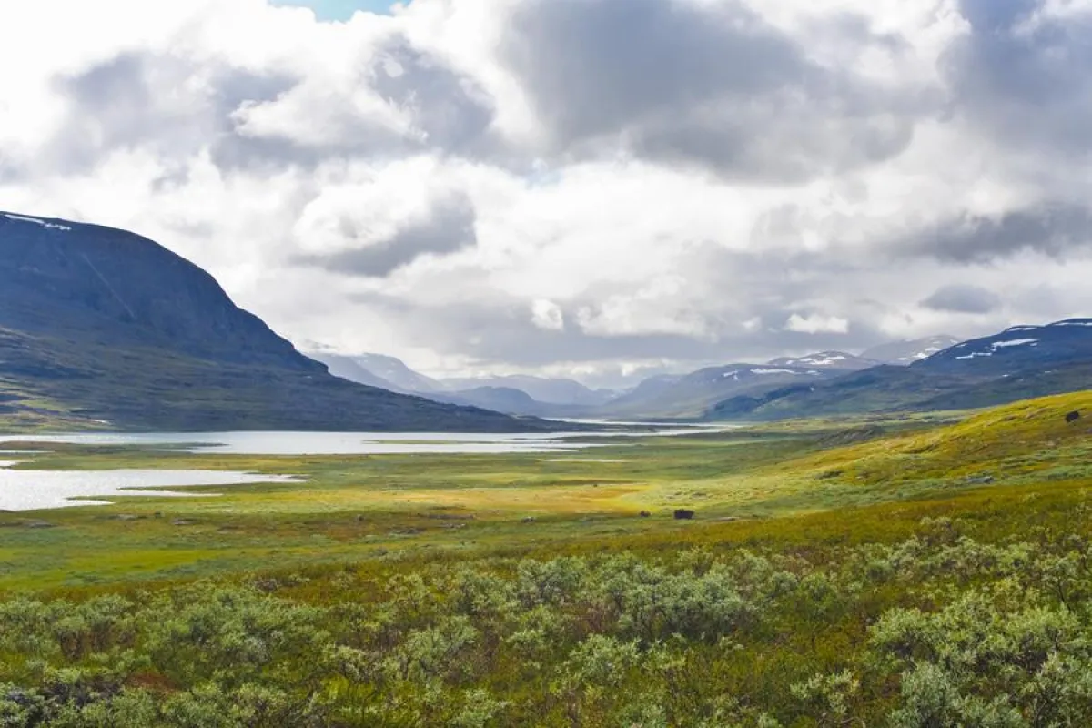 Eindrucksvolle Landschaft am See Alísjavri, Schwedisch-Lappland