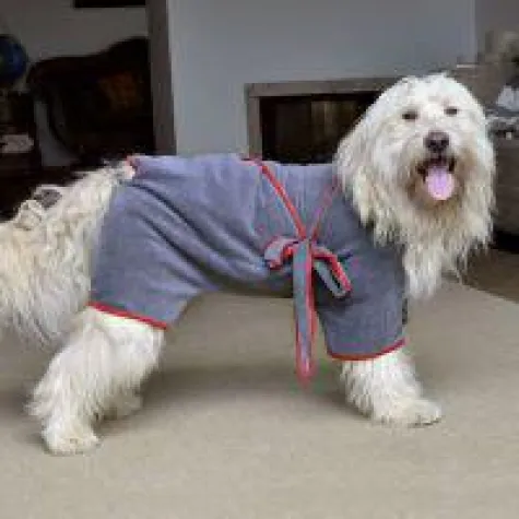 Bild: Trocken. Sauber. Super Sache! Der Hundebademantel von piccobello