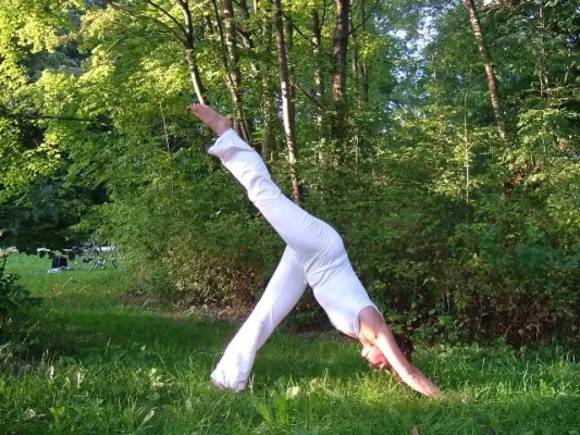 Bild: YOGA - wie ein Übungssystem zur Heilung und Wahrheit führt