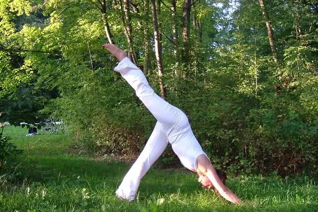 Bild: YOGA - wie ein Übungssystem zur Heilung und Wahrheit führt