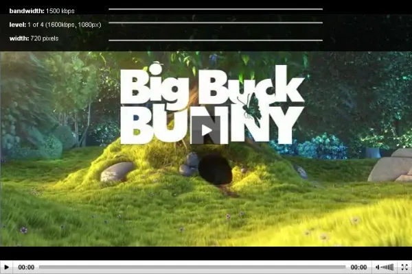 Bild: Streaming Video mit eZ Publish