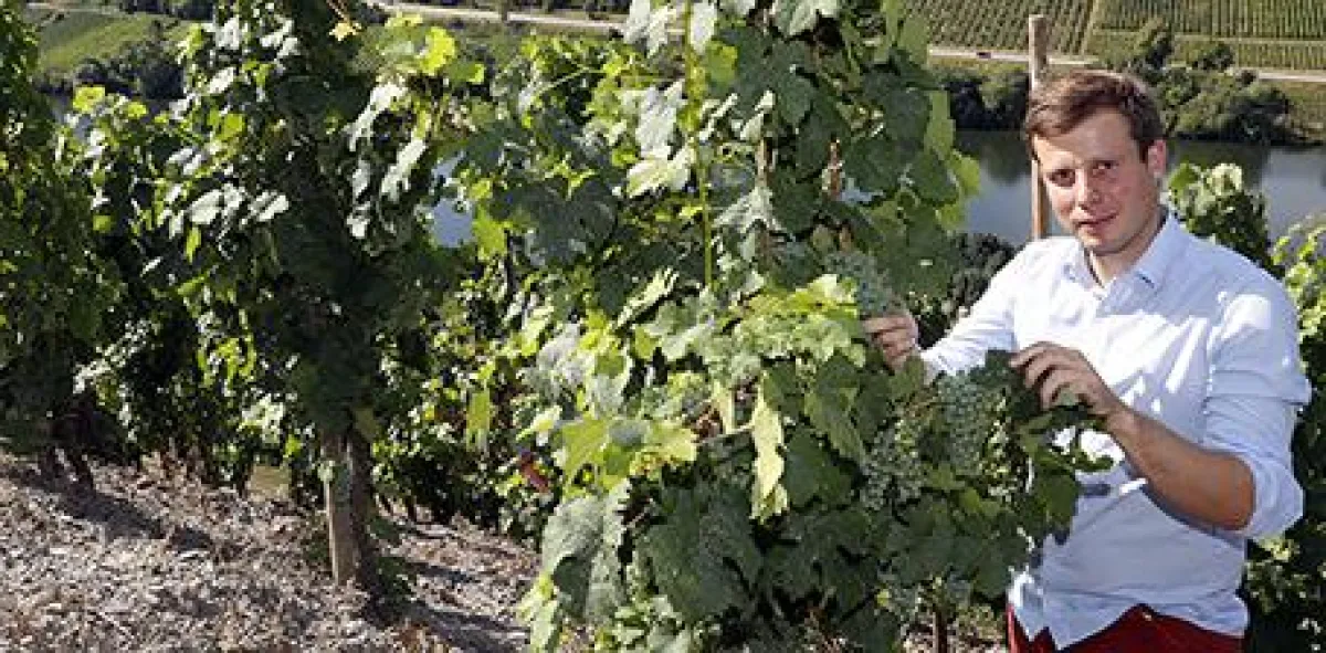 Betriebsleiter Florian Scheidt vom Weingut Albert Kallfelz in Zell-Merl © Holger Bernert