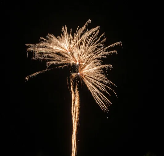 Bild: Feuerwerk - ist unsere Leidenschaft - aber die Sicherheit geht vor