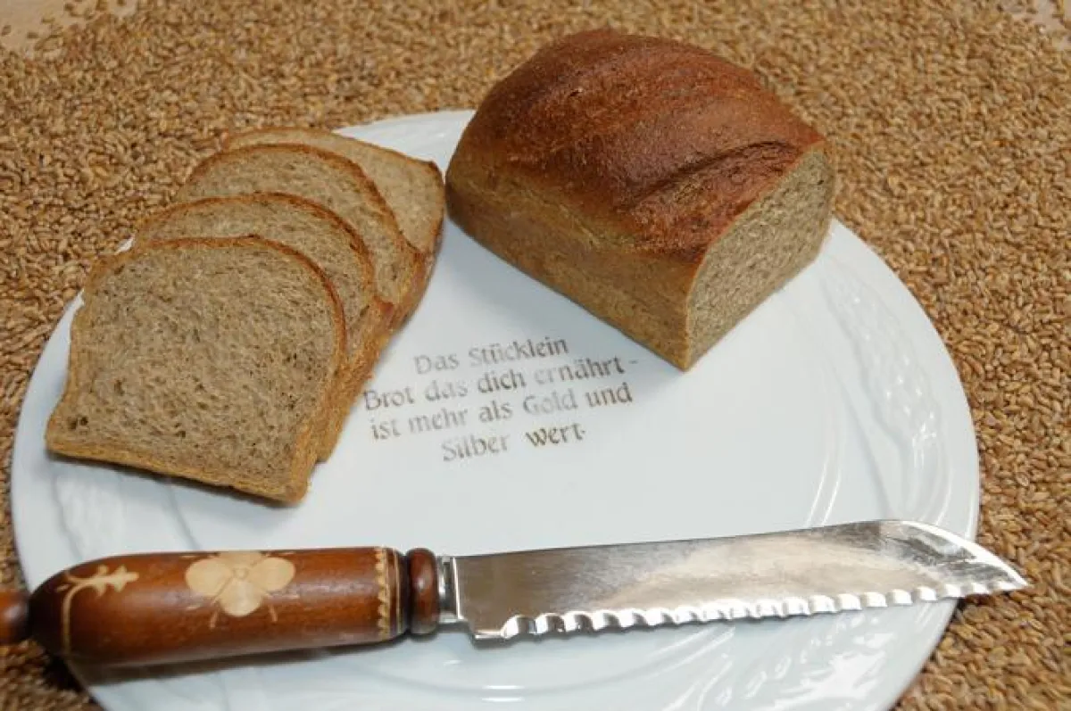 Gerstenkraft_Hercules