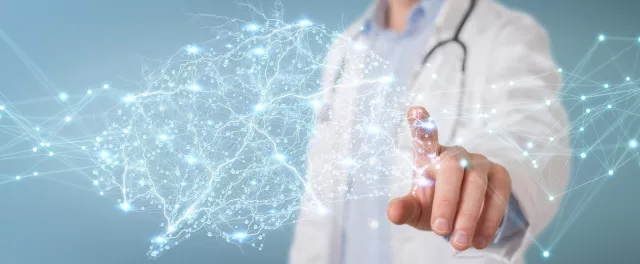 Berliner Softwareschmiede mediaire führt neues KI-Produkt zur quantitativen MRT-Analyse ein Bild: Berliner Softwareschmiede mediaire führt neues KI-Produkt zur quantitativen MRT-Analyse ein