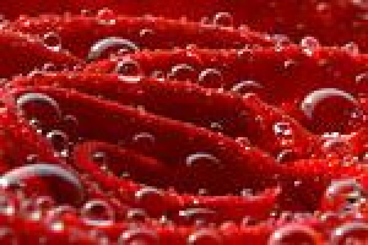 Intensivkurs Makrofotografie - FOTOCAMPUS Claus Brandt