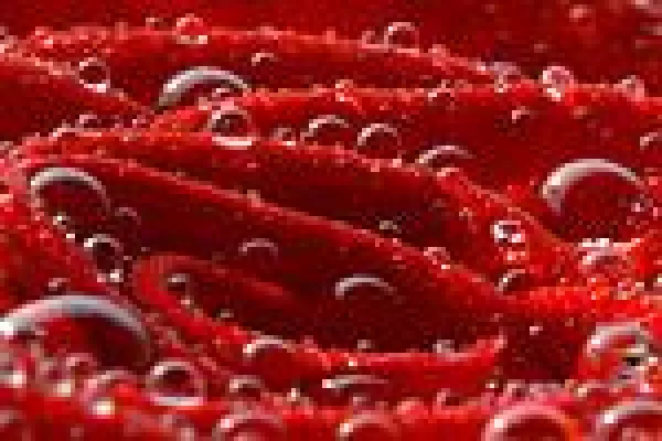 Intensivkurs Makrofotografie Insel Mainau 2008 Bild: Intensivkurs Makrofotografie Insel Mainau 2008