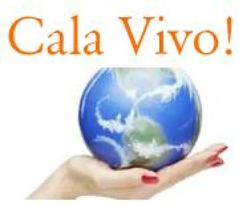 Bild: Cala Vivo mit frischem Layout