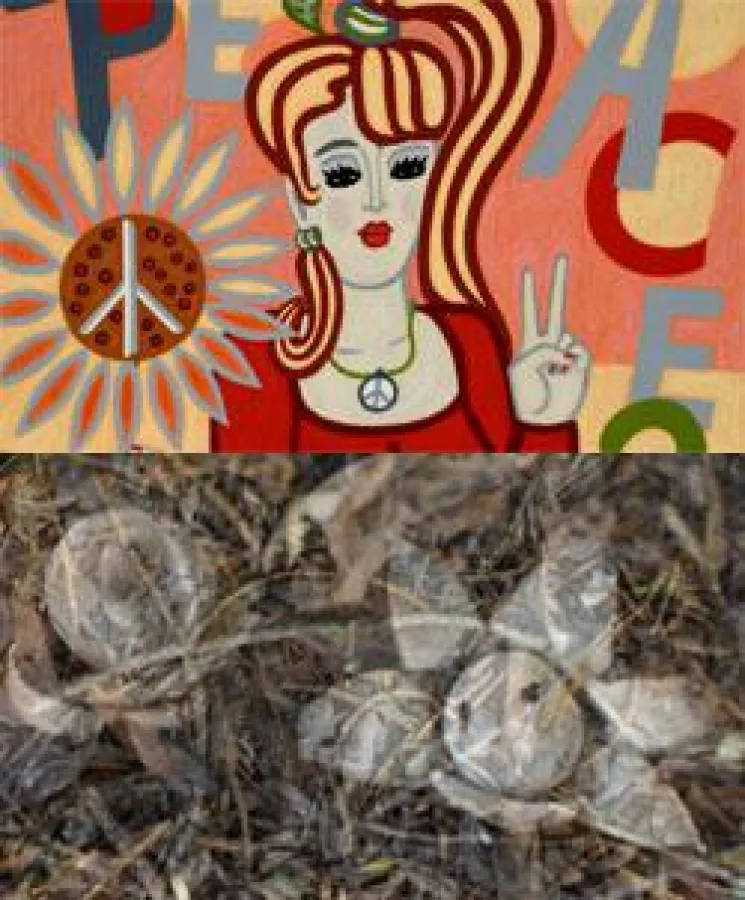 Jacqueline Ditt - Road to Peace two Point Zero - Mario Strack - The Forest 2 - (c) universal arts