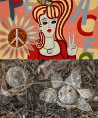 Bild: Jacqueline Ditt & Mario Strack - Edition 16