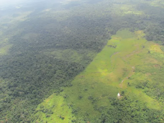 Bild: Großer Relaunch – elan!-Portal für entwaldungsfreie Lieferketten jetzt noch benutzer*innenfreundlicher