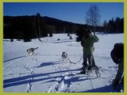 Bild: Skiurlaub mit Hund in Bayern mit tollen Einkaufsmöglichkeiten