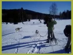 Bild: Skiurlaub mit Hund in Bayern mit tollen Einkaufsmöglichkeiten