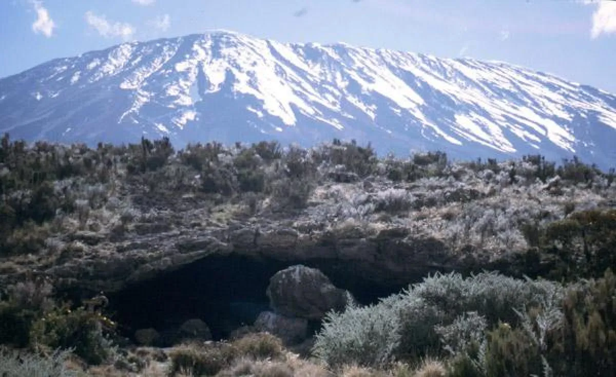 Kilimandscharo - 5895 m ü.N.