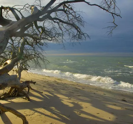 Bild: Fotoseminare und -wanderungen an Nord- und Ostsee: Sonne, Wind, Strand und Meer mit der Fotoschule des Sehens