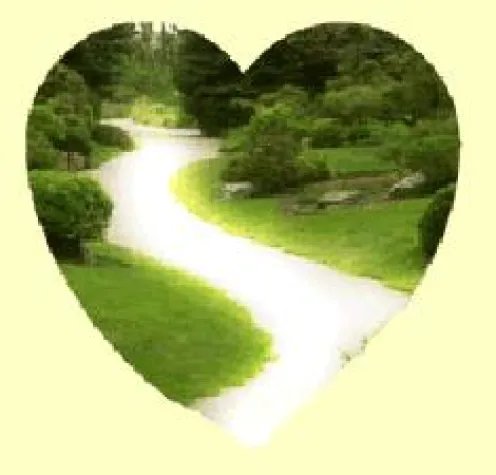 Bild: Herzinfarkt in Deutschland