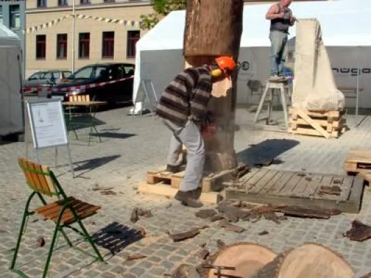 Bild: „Kunst am Weg“ für die 5. Sächsische Landesgartenschau 2009