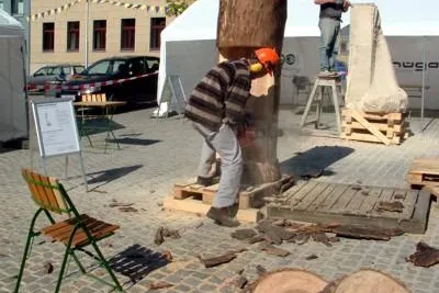 Bild: „Kunst am Weg“ für die 5. Sächsische Landesgartenschau 2009