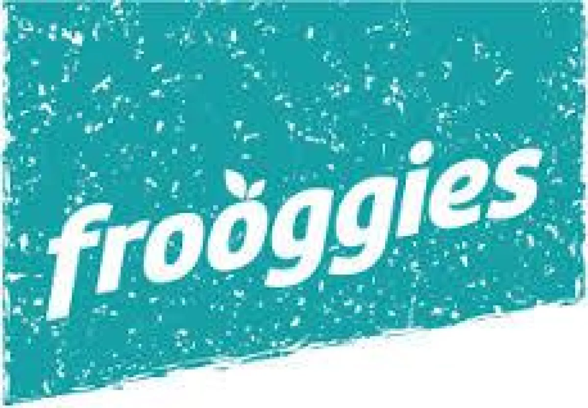 Logo Company frooggies AG