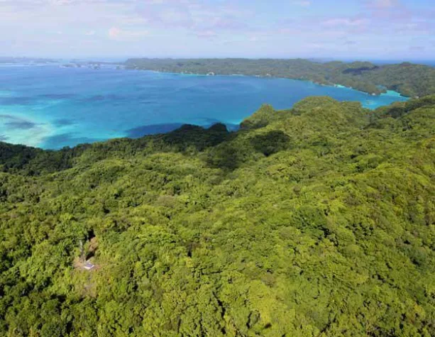 Bild: Neue Landausflüge in die Rock Islands von Sam's Tours Palau