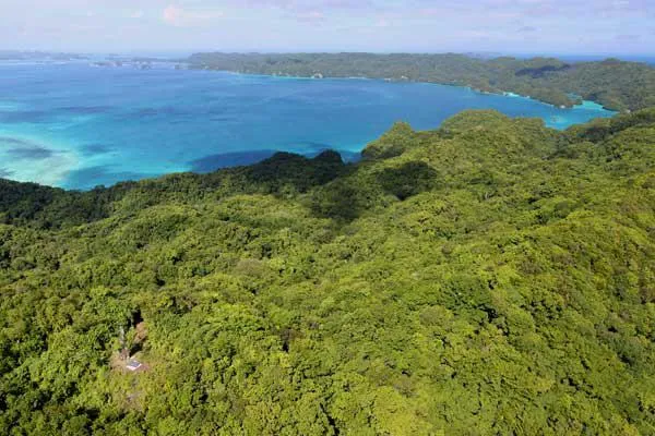 Bild: Neue Landausflüge in die Rock Islands von Sam's Tours Palau