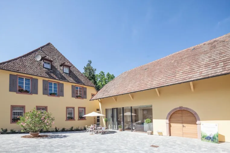 Bild: Weingut Freiherr von Gleichenstein: Neubestockung am Ihringer Winklerberg, Toplage im Kaiserstuhl