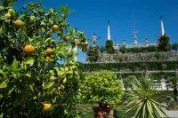 Bild: Gartenfantasien am Lago Maggiore - und Tee