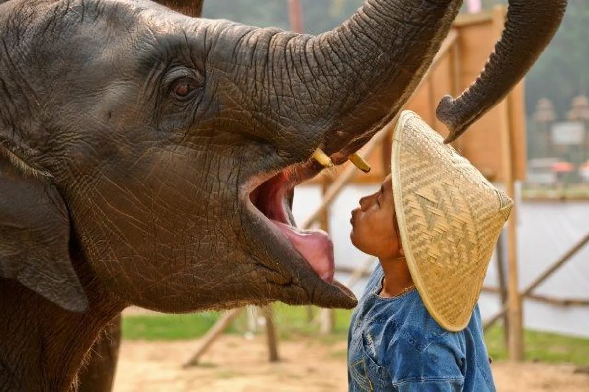 Anantara Elephantpolo