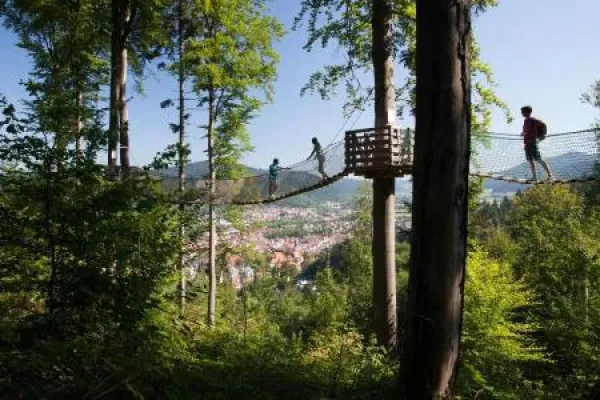 Bild: Baumkronen-Hopping & Co. - Familienurlaub im ZweiTälerLand