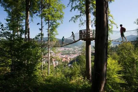 Bild: Baumkronen-Hopping & Co. - Familienurlaub im ZweiTälerLand