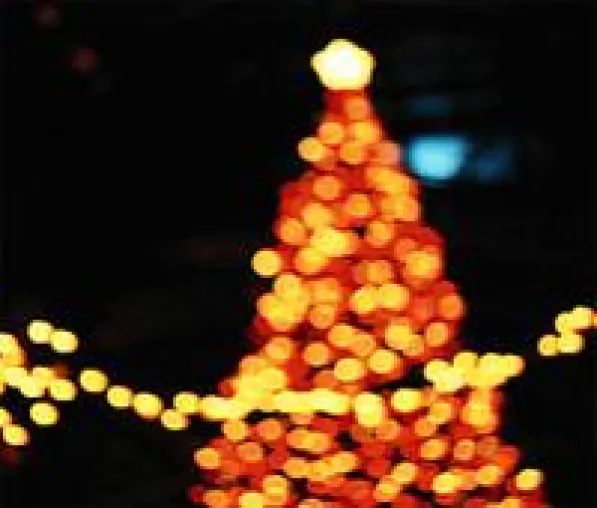 Bild: Beim Weihnachtseinkauf von Elektrogeräten auf verlässliche Stromspar-Labels achten