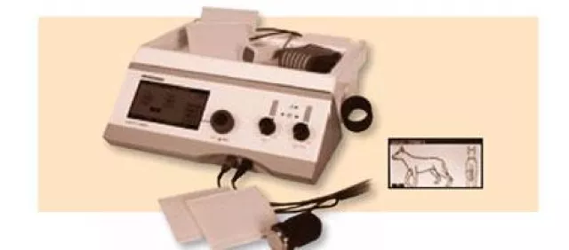 Bild: Physiotherapie für den Pferdesport auf der Messe Pferd & Jagd in Hannover