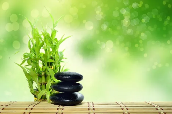 Flow-Marketing und Coaching - Marketing der Zukunft Bild: Flow-Marketing und Coaching - Marketing der Zukunft