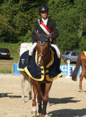 Bild: Springreiten: Sebastian Elias gewinnt Thüringer Titelkämpfe