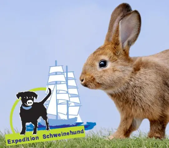 Bild: Osterhase geht Schweinehund voran