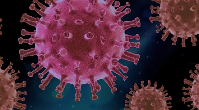 Bild: Virtueller Corona-Schnelltest Cork © 3.0 vorgestellt