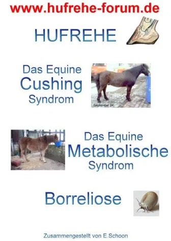 Bild: Hufrehe und das Equine Metabolische Syndrom