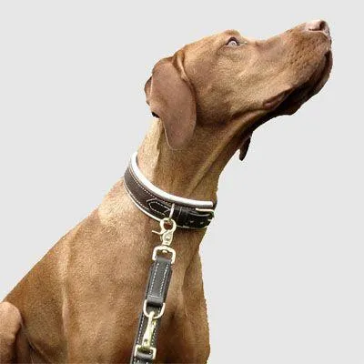 Bild: Hundehalsbänder aus der Sattlerei - auf KLICK-Germany