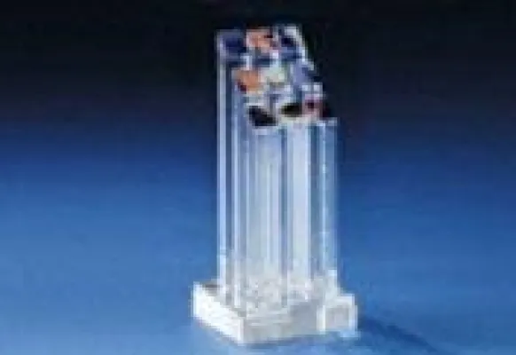 Bild: Die Verleihung des diesjährigen Deutschen Multimedia Awards live auf zaplive.tv