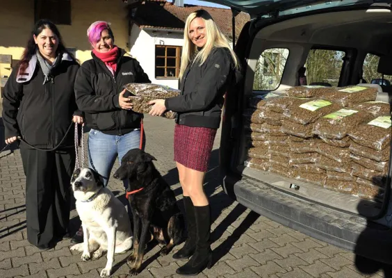 Bild: Weihnachts-Schmaus für gebrochene Hundeseelen