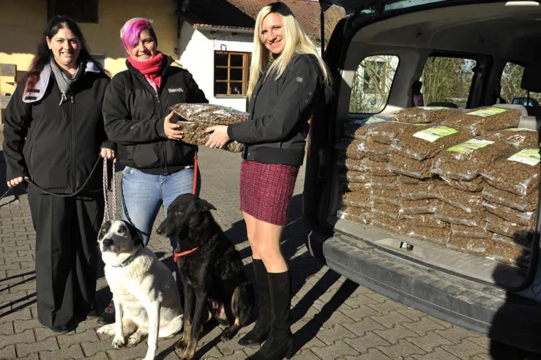 Bild: Weihnachts-Schmaus für gebrochene Hundeseelen
