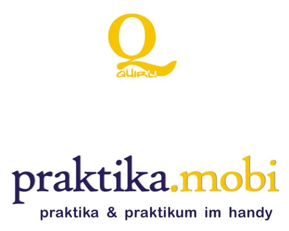 Seit Anfang Januar 2007 gibt es praktika.mobi als erstes Praktikumsportal auch mobil fürs Handy.