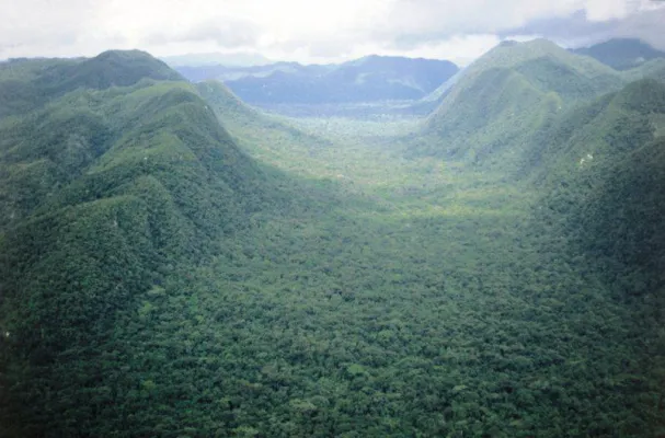 Bild: Verlorene Stadt im honduranischen Urwald entdeckt