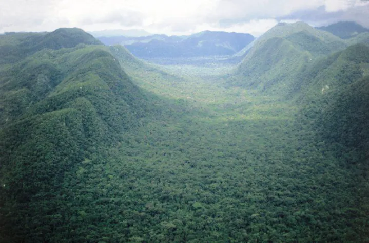 Bild: Verlorene Stadt im honduranischen Urwald entdeckt