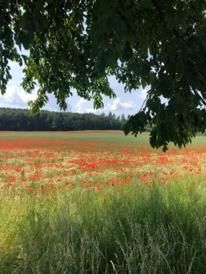 Ressource am Limit: Talkreihe „Enter Science“ thematisiert Diskussion um Böden und Flächenverteilung Bild: Ressource am Limit: Talkreihe „Enter Science“ thematisiert Diskussion um Böden und Flächenverteilung