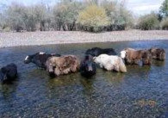 Bild: Mongolei entdecken-aber anders als üblich