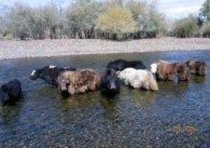 Bild: Mongolei entdecken-aber anders als üblich