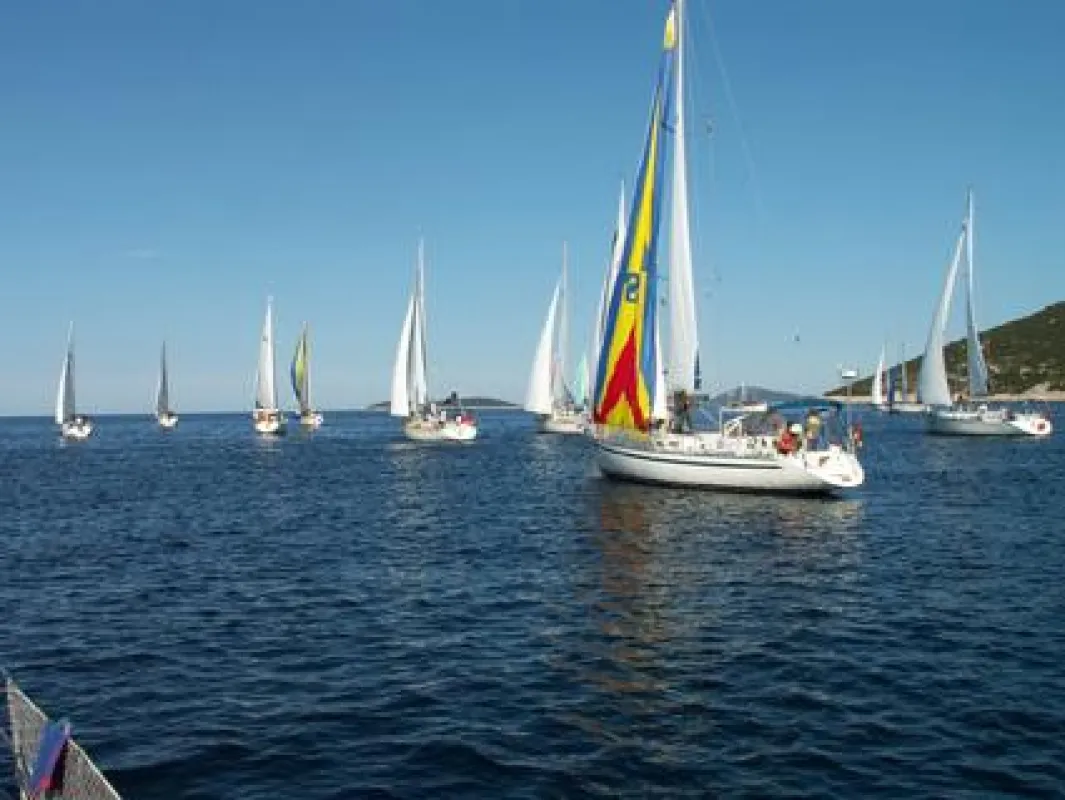 Segelregatta vor der Küste Kroatiens